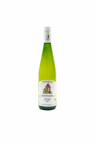 PINOT GRIS 2023 “Cuvée Hélène”